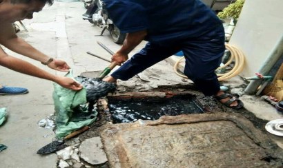 Thông cống nghẹt quận 2 nhanh chóng hiệu quả 