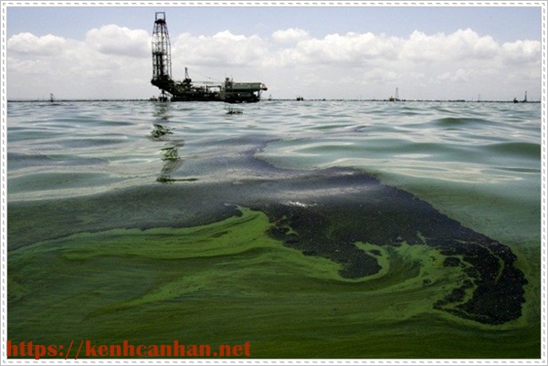 ô nhiễm nguồn nước do tràn dầu