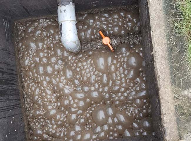 Sự cố bung b&ugrave;n vi sinh