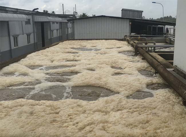 Sự cố bọt m&agrave;u trắng, nổi bọt to, b&ugrave;n vi sinh m&agrave;u n&acirc;u đen