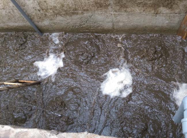 B&ugrave;n vi sinh c&oacute; vai tr&ograve; đặc biệt quan trọng trong xử l&yacute; nước thải