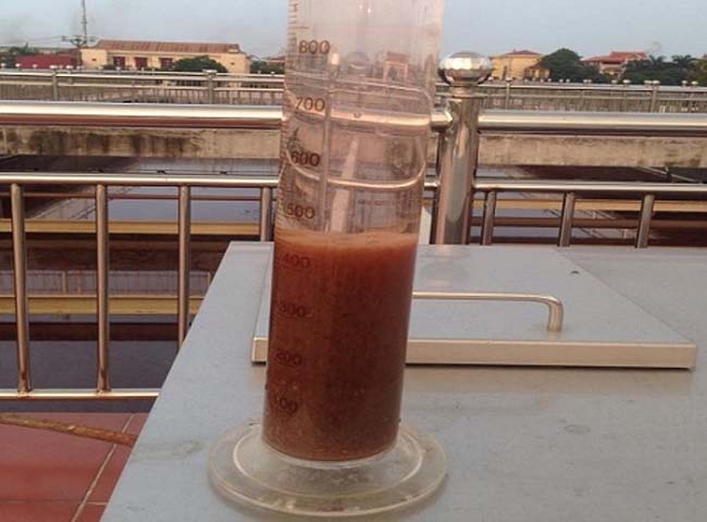 B&ugrave;n vi sinh hoạt t&iacute;nh trong xử l&yacute;  nước thải