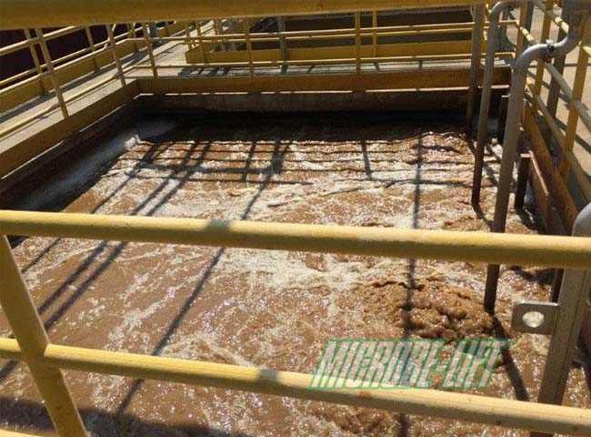 Hệ thống nu&ocirc;i vi sinh xử l&yacute; nước thải