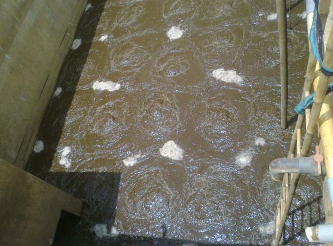 B&ugrave;n vi sinh trong hệ thống xử l&yacute; nước thải