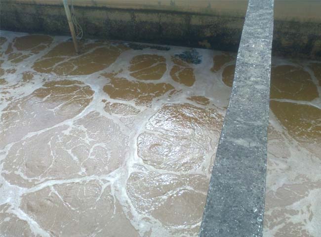 Kiểm tra trước khi tiến h&agrave;nh mua b&ugrave;n vi sinh