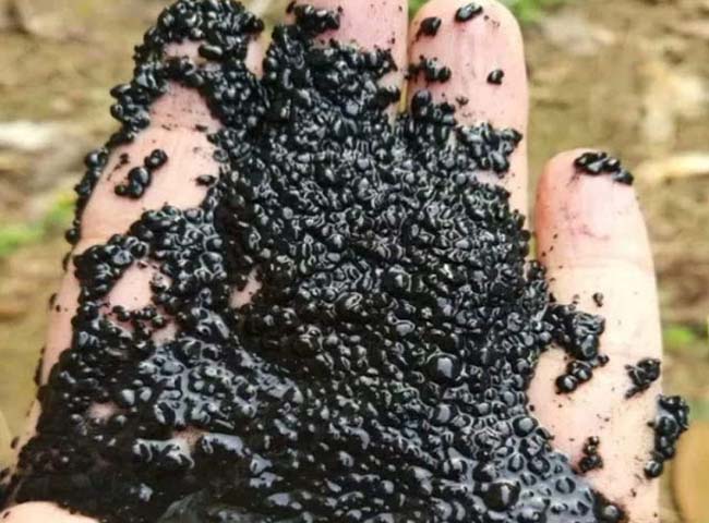 Mua b&ugrave;n vi sinh để l&agrave;m g&igrave;?