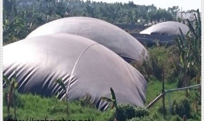Xử lý nước thải chăn nuôi bằng biogas  