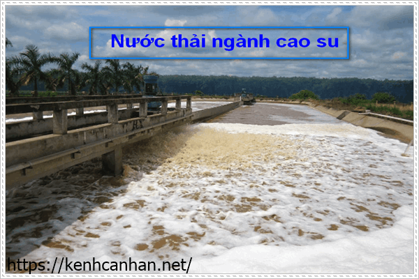 Nh&agrave; m&aacute;y xử l&yacute; nước thải cao su