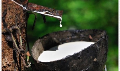 Xử lý nước thải cao su