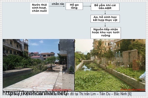 nhà máy xử lý nước thải chăn nuôi bằng thực vật