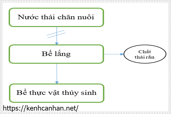 sơ đồ xử lý nước thải chăn nuôi bằng thực vật