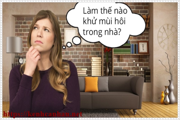 X&aacute;c định nguy&ecirc;n nh&acirc;n v&agrave; c&aacute;ch khử m&ugrave;i h&ocirc;i trong nh&agrave;