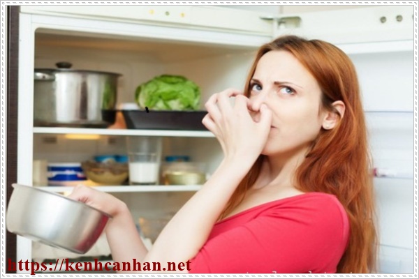 khử m&ugrave;i h&ocirc;i trong nh&agrave; v&igrave; m&ugrave;i h&ocirc;i c&oacute; thể đến từ nhiều vị tr&iacute;