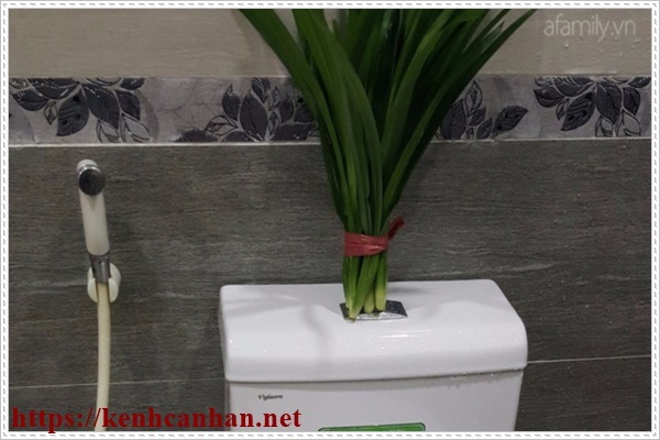 Khử m&ugrave;i h&ocirc;i trong nh&agrave; vệ sinh bằng nguy&ecirc;n liệu thi&ecirc;n nhi&ecirc;n