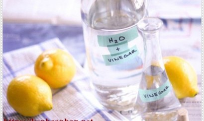 Mẹo giúp khử mùi hôi cống từ nhà vệ sinh 