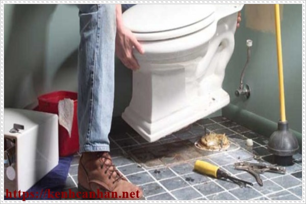 Khắc phục t&igrave;nh trạng nghẹt bồn cầu