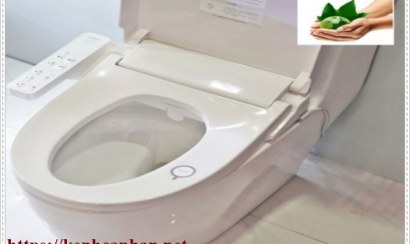 Tìm hiểu các nguyên nhân gây nghẹt bồn cầu và cách khắc phục 