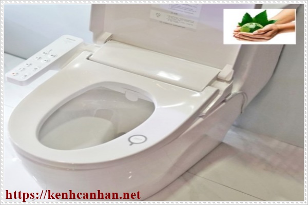 Nghẹt bồn cầu do nhiều nguy&ecirc;n nh&acirc;n