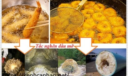 Xử lý dầu mỡ trong nước thải 