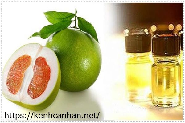 c&aacute;ch điều chế tinh dầu vỏ bưởi