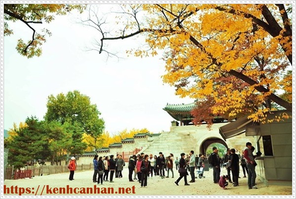 ngữ pháp tiếng hàn
